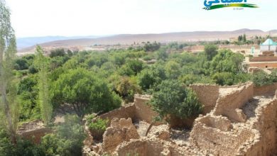 صورة قصر الغيشة القديم بولاية الأغواط :