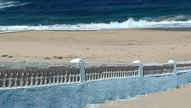 صورة استعدادا للفتح التدريجي للشواطئ بالطارف