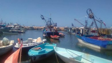 صورة ميناء بوهارون تيبازة قبلة عشاق السمك