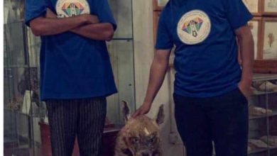 صورة مدير الجمعية الولائية للسياحة كنوز الجزائر بالبويرة حمزة ميسارة للسياحي:
