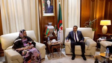 صورة وزير الطاقة والمناجم يستقبل وزيرة التشغيل والتكوين المهني الموريتانية