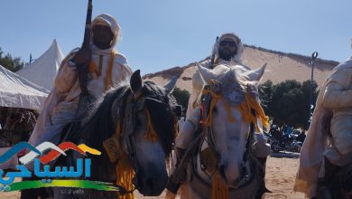 صورة الصناعة التقليدية..بأدرار.موروث ثقافي يأبى الإندثار