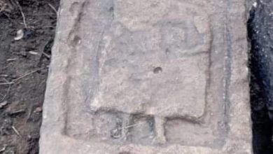 صورة مديرية الثقافة و الفنون لولاية الطارف