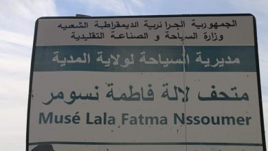 صورة مديرية الثقافة والفنون ولاية المدية البرنامج الثقافي والفني الخاص باليوم العالمي للمرأة