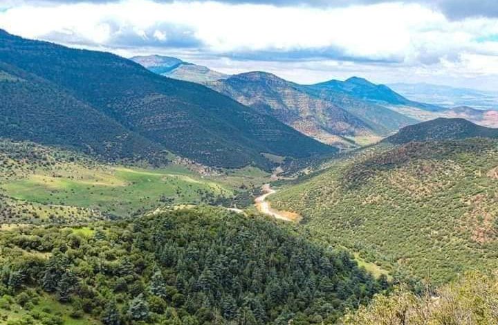 بلزمة: أجمل محمية طبيعية بولاية باتنة - جريدة السياحي