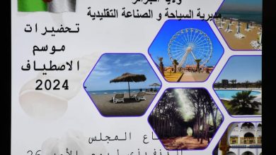 صورة ولاية الجزائر المتابعة المستمرة للتحضيرات الجارية لاستقبال موسم الاصطياف لسنة 2024