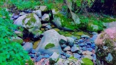 صورة مديرية السياحة و الصناعة التقليدية  بولاية سوق أهراس