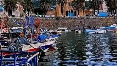 صورة برنامج  رحلة سياحية إلى القالة