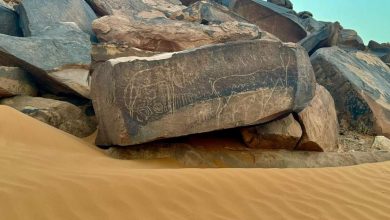 صورة وزيرة الثقافة و الفنون في زيارة إلى ولاية بشار