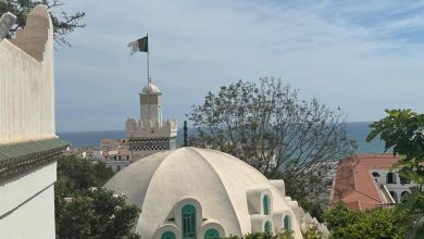 صورة زيارة وزيرة الثقافة و الفنون لولاية الجزائر