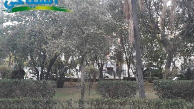 صورة زيارة لجنان سيدي يعقوب الأندلسي بباب السبت مدينة البليدة
