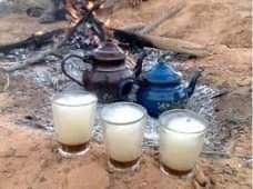 صورة الشاي الصحراء الجزائرية