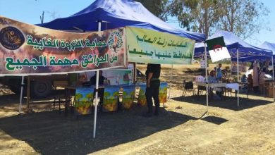 صورة مشاركة المتحف العمومي الوطني للفنون و التقاليد الشعبية بالمدية