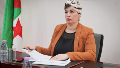صورة التظاهرة الثقافية والسياحية والشبانية التي تسبق تنظيم الجزائر للمعرض الإفريقي البيني في سبتمبر 2025،
