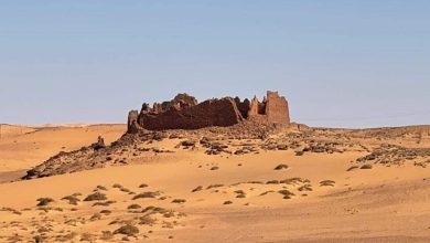 صورة مشاركة القسم الاقليمي عين صالح في فعاليات الورشة حول حفظ قلاع التخزين الجماعي توات – قورارة- تيديكلت
