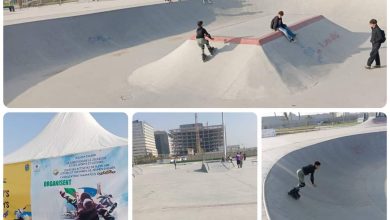 صورة ديوان حظائر الرياضات والتسلية لولاية الجزائر