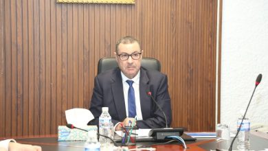 صورة لقاء وزير النقل مع مسيري المؤسسات العمومية الإقتصادية في مجال النقل البحري