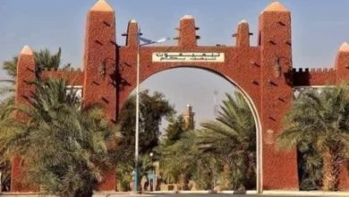 صورة ديوان مؤسسات الشباب و الرابطة الولائية للنشاطات الثقافية و العلمية لولاية تيبازة