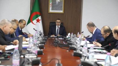 صورة اجتماع تنسبقي بوزارة النقل لمتابعة مدى تقدم أشغال مشروع دعم أرصفة الرسو بميناء الجزائر