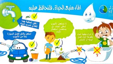صورة مديرية البيئة لولاية وهران تنظم بمناسبة اليوم العالمي للمناطق الرطبة