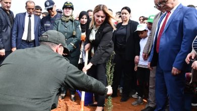 صورة وزيرة البيئة وجودة الحياة، تشرف في إطار الاحتفال باليوم العالمي للشجرة والماءعلى