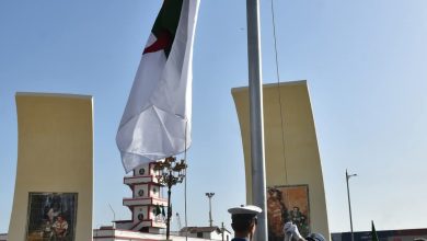 صورة الاحتفالات الرسمية المخلدة للذكرى الثالثة والستين لعيد النصر بولاية الجزائر