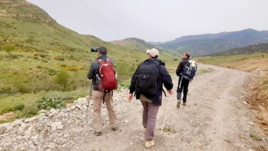 صورة نادي التجوال التابع للديوان المحلي للسياحة لبلدية المدية،