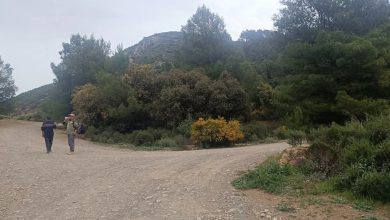 صورة الديوان المحلي للسياحة لبلدية المدية تنظيم