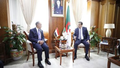 صورة وزير الدولة، وزير الطاقة والمناجم والطاقات المتجددة يستقبل وزير الخارجية والهجرة المصري