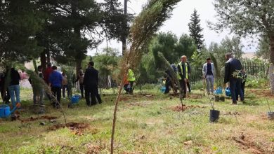 صورة حديقة الحيوانات والتسلية الوئام المدني بن عكنون الجزائر