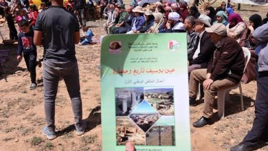 صورة مديرية الثقافة و الفنون لولاية المدية