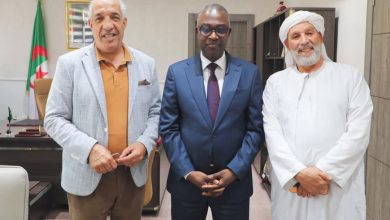 صورة وزارة الشباب مخيمات صيف 2025 بثوب فني وثقافي جديد